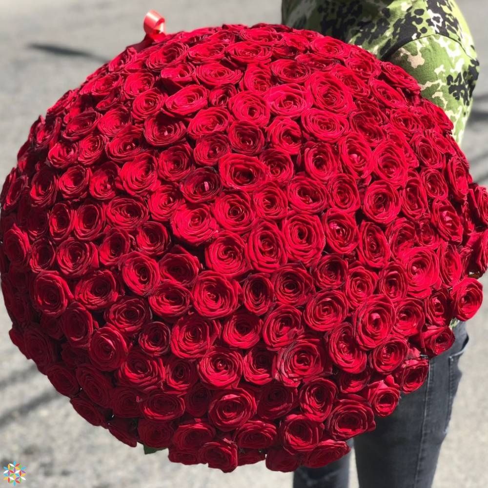 Bouquet of 200 Premium red roses | Delivery to Dubai | 7 Flowers